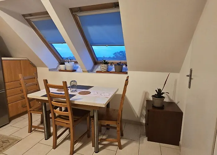 Gracious Shared * Wroclaw